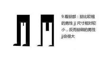 如何从男人体型外貌看丁丁大小