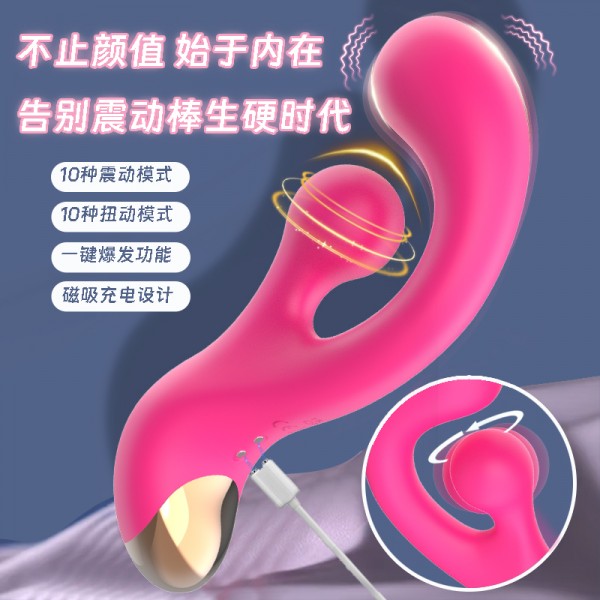 secwell 桑尼扭转振动棒强震