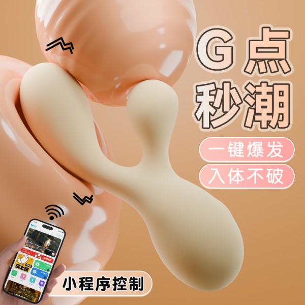 galaku yy棒内外双震