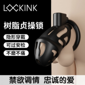 lockink索迹男用贞操锁